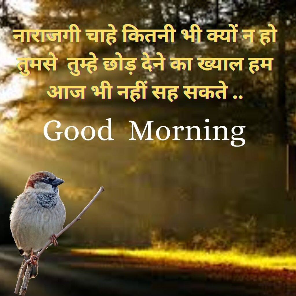Good Morning Quotes to Start Your Day with a Smile || Positive Good Morning Quotes and Images for a Great Day good morning motivational quotes in hindi 12