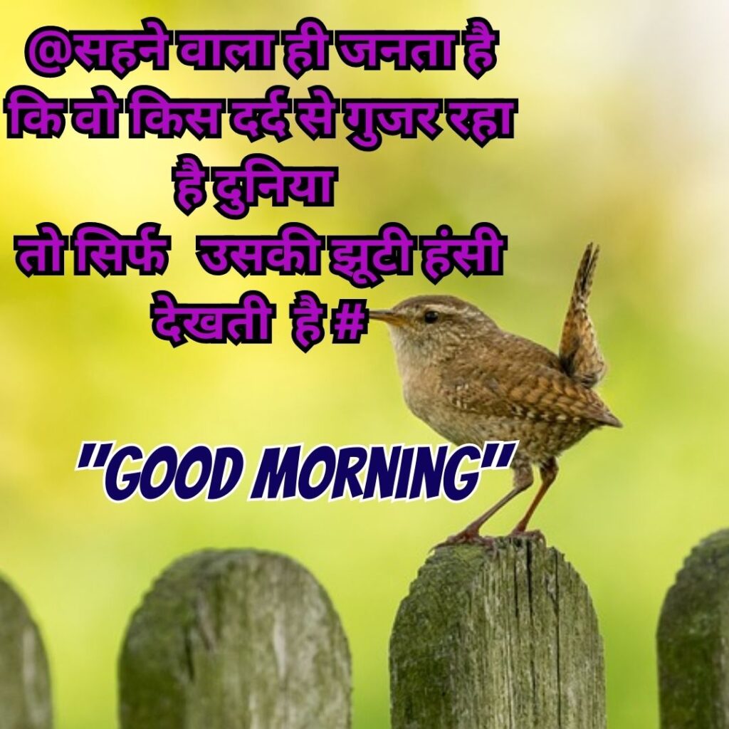 Good Morning Quotas Hindi 2023 Good morning vichar hindi images 6