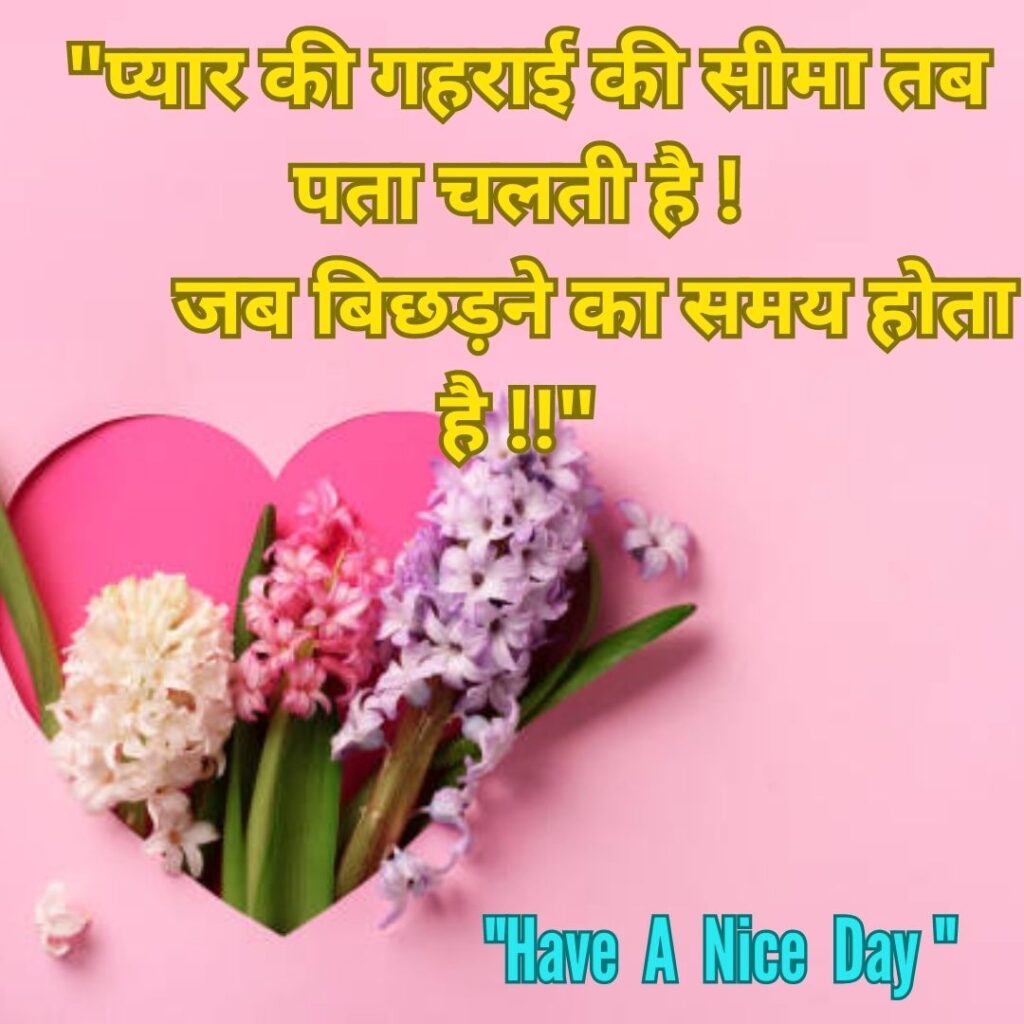 100 Heart-Melting Love Quotes That Will Reignite the Spark in Your Relationshiplove Quote Image of Short Love quotes in Hindi English 3